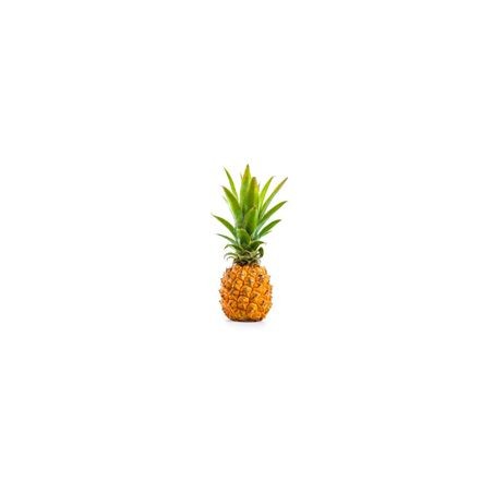 Ananas Victoria - RÉUNION Cat1 - Pièce