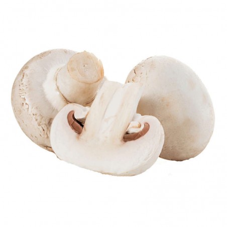 Champignons blancs Bio - PAYS BAS Cat2