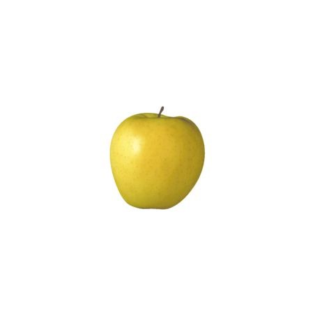 Pomme Golden - FRANCE Cat1 - 1Kg