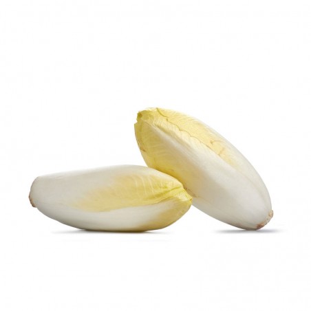 Endives - FRANCE Cat1 - 500g