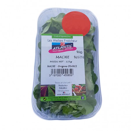 Salade Mache - FRANCE Cat1